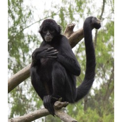 Producto nuevo prueba