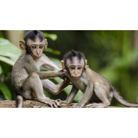 Producto nuevo prueba