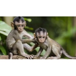 Producto nuevo prueba